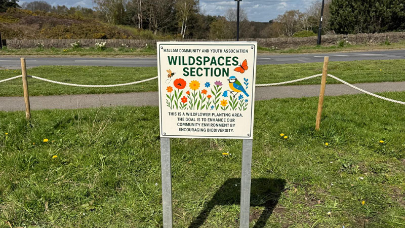 Wild Spaces Section