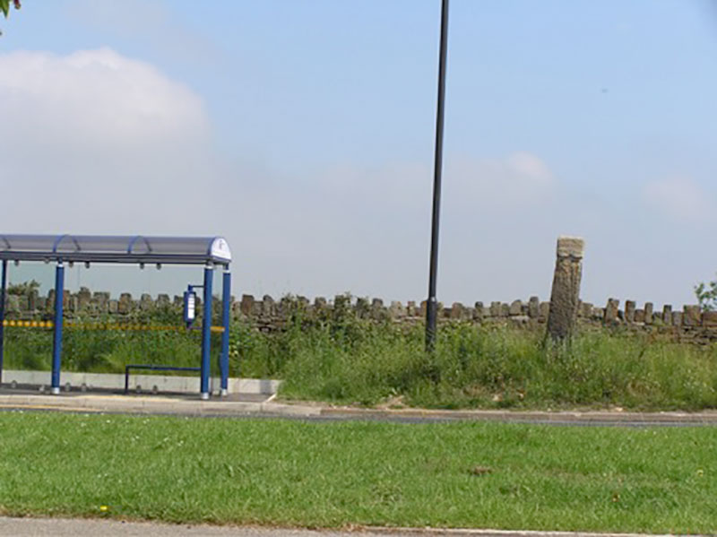 Local development 2
